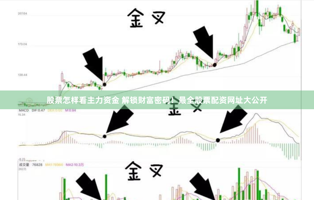 股票怎样看主力资金 解锁财富密码！最全股票配资网址大公开