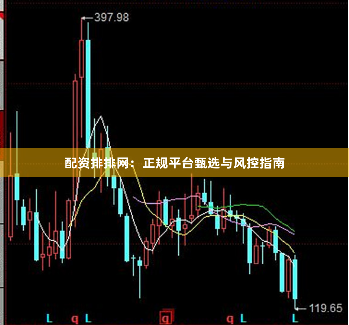 配资排排网：正规平台甄选与风控指南